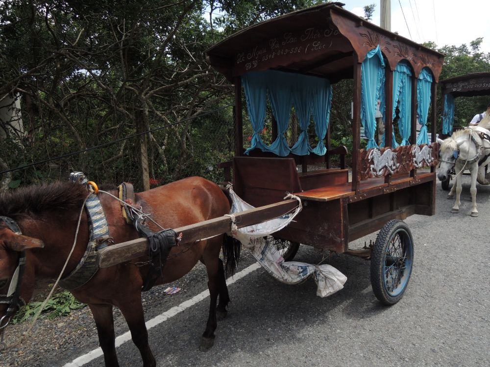 【ホーチミン発】ミトー・メコン川クルーズ 7