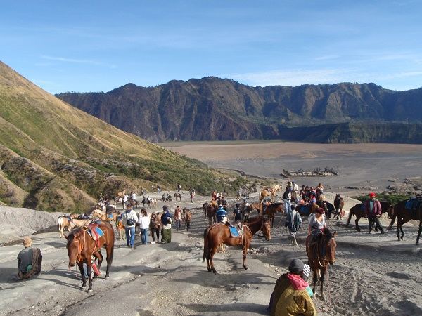 【バリ島発】ブロモ山サンライズトレッキングツアー1泊2日 4