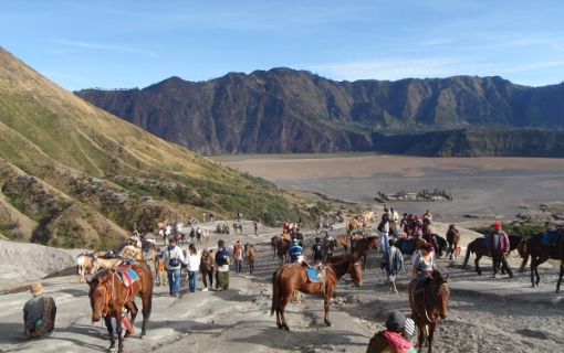 【バリ島発】ブロモ山サンライズトレッキングツアー1泊2日 4