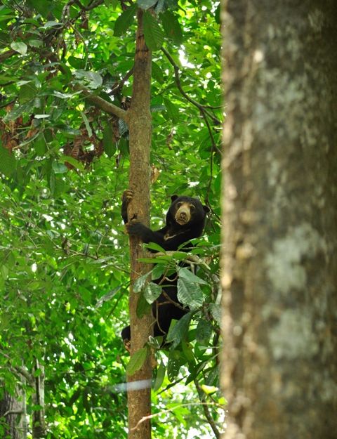 サンダカン1日満喫ツアー　（コタキナバル発） 3