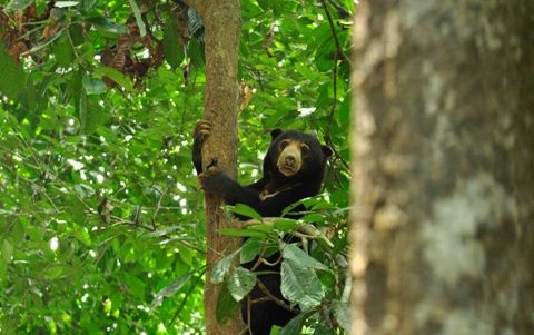 サンダカン1日満喫ツアー　（コタキナバル発） 3