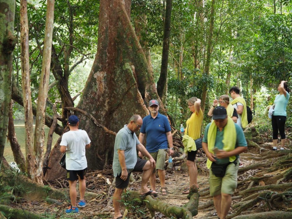 タマンネガラ国立公園 2泊3日ツアー|ムティアラ・タマンネガラ宿泊で大自然のジャングル体験<宿泊プラン>(クアラルンプール発) 2
