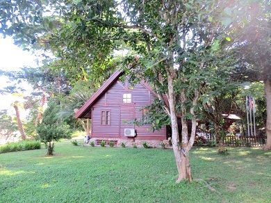 タマンネガラ国立公園 2泊3日ツアー|ムティアラ・タマンネガラ宿泊で大自然のジャングル体験<宿泊プラン>(クアラルンプール発) 5