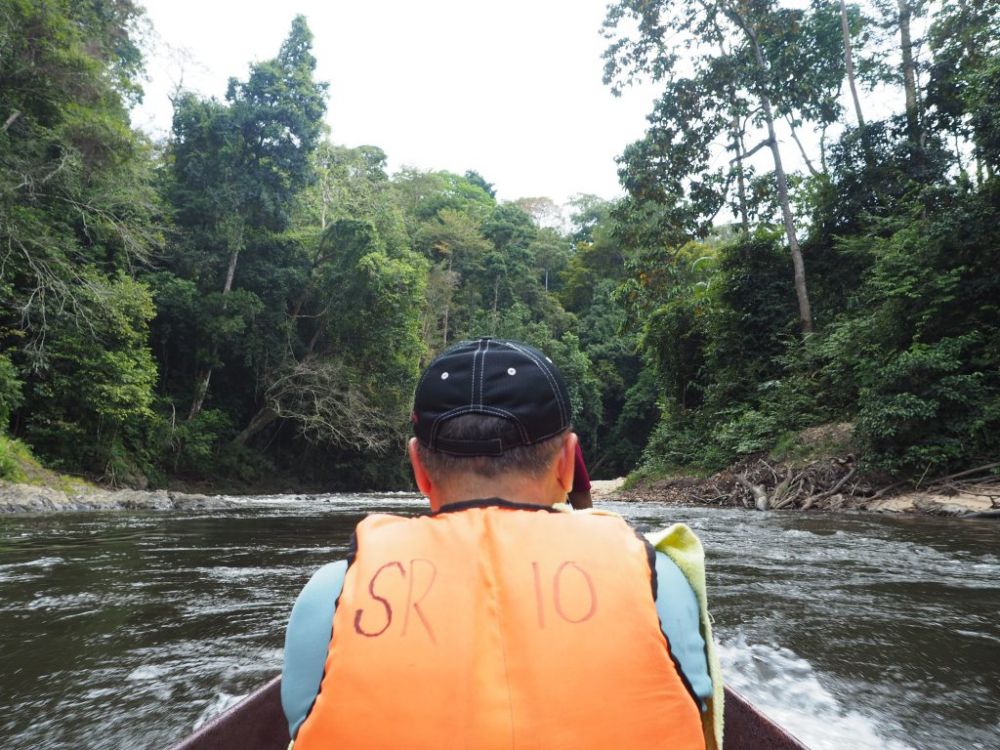 タマンネガラ国立公園 2泊3日ツアー|ムティアラ・タマンネガラ宿泊で大自然のジャングル体験<宿泊プラン>(クアラルンプール発) 1