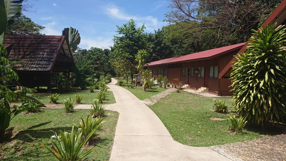 タマンネガラ国立公園 2泊3日ツアー|ムティアラ・タマンネガラ宿泊で大自然のジャングル体験<宿泊プラン>(クアラルンプール発) 6