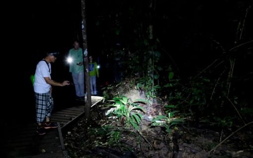 タマンネガラ国立公園 2泊3日ツアー|ムティアラ・タマンネガラ宿泊で大自然のジャングル体験<宿泊プラン>(クアラルンプール発) 9