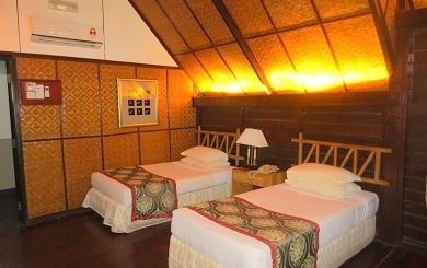 タマンネガラ国立公園 2泊3日ツアー|ムティアラ・タマンネガラ宿泊で大自然のジャングル体験<宿泊プラン>(クアラルンプール発) 7