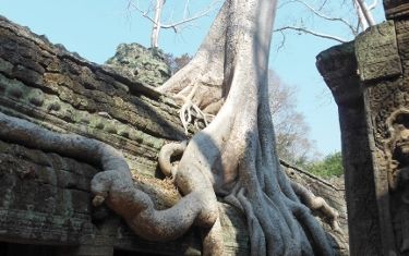 アンコール遺跡群1日観光（大回り、小回りコース、昼食付）