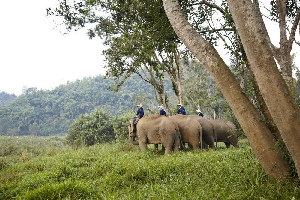 【バンコク発/チェンライ】大自然のラグジュアリーリゾート アナンタラ ゴールデン トライアングル 1泊2日/2泊3日 パッケージ 2