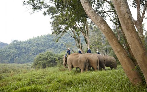 【バンコク発/チェンライ】大自然のラグジュアリーリゾート アナンタラ ゴールデン トライアングル 1泊2日/2泊3日 パッケージ 2