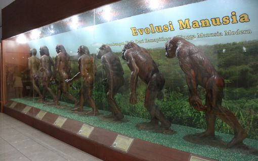 【ジャカルタ発】インドネシアの3大世界遺産ボロブドゥール遺跡、プランバナン遺跡、サンギラン初期人類遺跡を巡る2泊3日ツアー 4