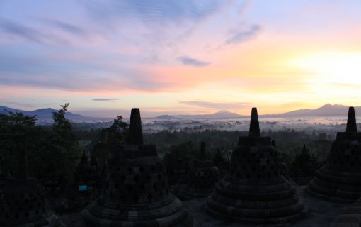 【ジャカルタ発】インドネシアの3大世界遺産ボロブドゥール遺跡、プランバナン遺跡、サンギラン初期人類遺跡を巡る2泊3日ツアー 3