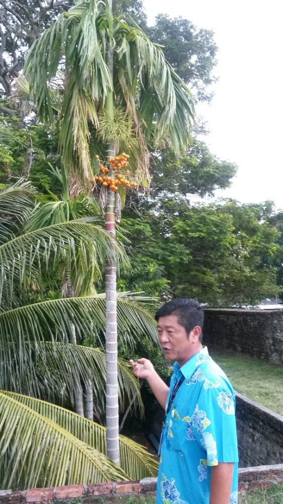 日本語観光ガイドチャーター＜4時間・8時間＞ （市内エリア） 3