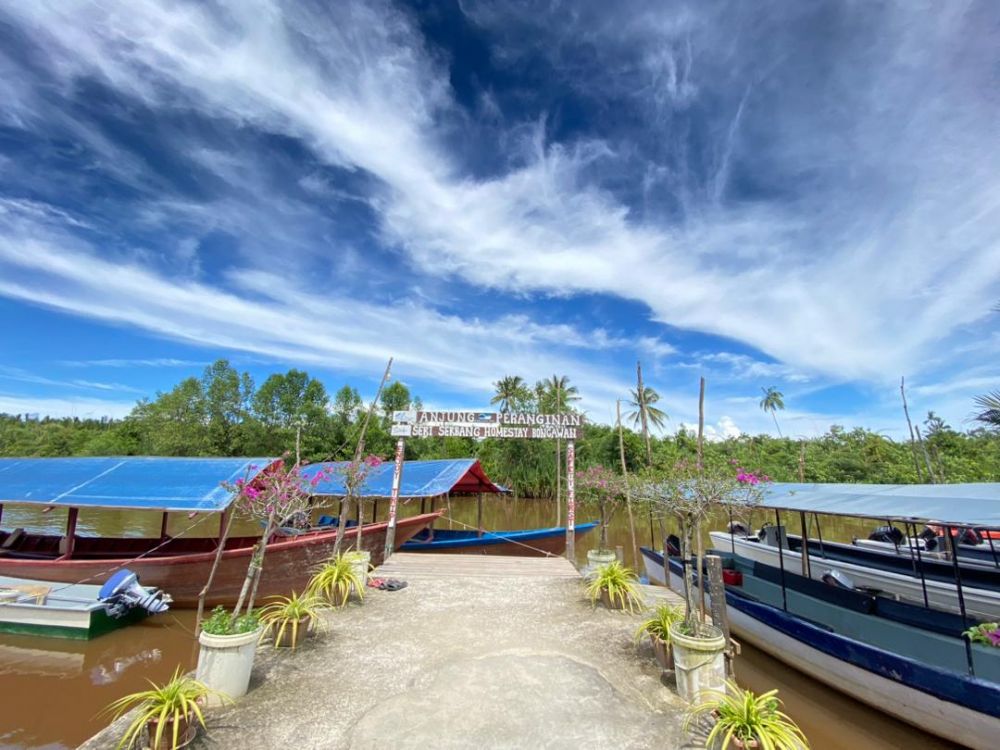 ボルネオの夕暮れショー ～光る蛍と森の仲間たち～（コタキナバル発） 1