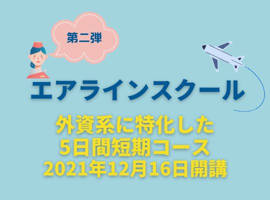 外資系面接のプロによるオンラインエアラインスクール8日間コース 2