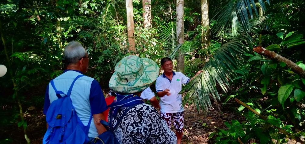 日本語観光ガイドチャーター＜4時間・8時間＞ （市内エリア） 5