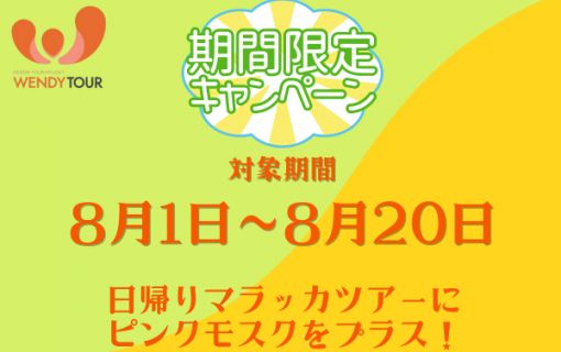 ★サマーキャンペーン・期間限定ピンクモスク立ち寄り★混乗車プラン(おすすめ!世界遺産マラッカ日帰り観光<1日観光>)