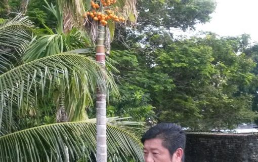 日本語観光ガイドチャーター＜4時間・8時間＞ （市内エリア） 3