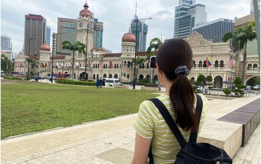 人気No.1！市内＆郊外をめぐる観光ツアー＜1日観光＞（クアラルンプール発） 7