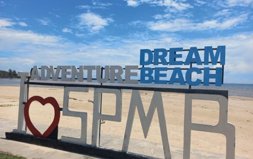 ボルネオの夕暮れショー ～光る蛍と森の仲間たち～（コタキナバル発） 4