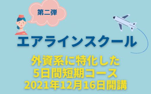 外資系面接のプロによるオンラインエアラインスクール8日間コース 2
