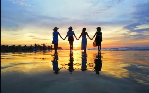 ボルネオの夕暮れショー ～光る蛍と森の仲間たち～（コタキナバル発） 2