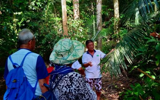 日本語観光ガイドチャーター＜4時間・8時間＞ （市内エリア） 5