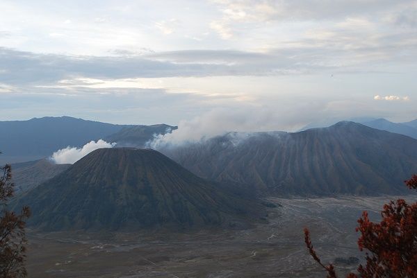 【ジャカルタ発】ブロモ山サンライズトレッキングツアー1泊2日 10