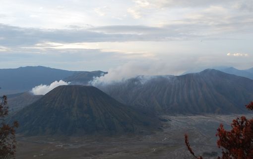 【ジャカルタ発】ブロモ山サンライズトレッキングツアー1泊2日 10