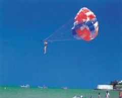 7/19(日）のみさらに特別価格！大人・子供890バーツ【特価】ラン島ツアー (バンコク発)《貸切りコースあり♪》 2