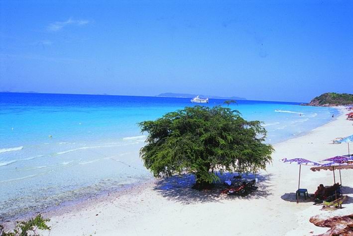 7/19(日）のみさらに特別価格！大人・子供890バーツ【特価】ラン島ツアー (バンコク発)《貸切りコースあり♪》 3