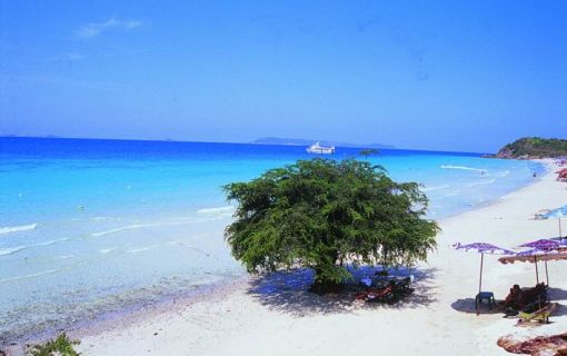 7/19(日）のみさらに特別価格！大人・子供890バーツ【特価】ラン島ツアー (バンコク発)《貸切りコースあり♪》 3