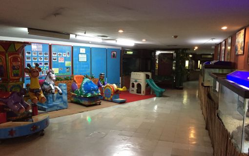 なつかしい昭和老舗デパートめぐり&屋上動物園/【サクッとお昼からの半日Ok】 9