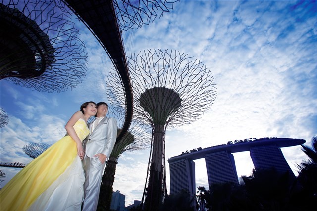 週末も夜景もドレスも選べるロケーションフォトプラン