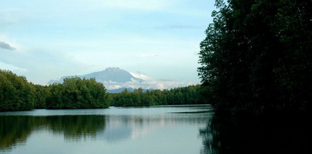 マングローブクルーズ