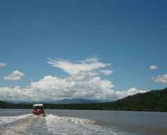 マングローブクルーズ