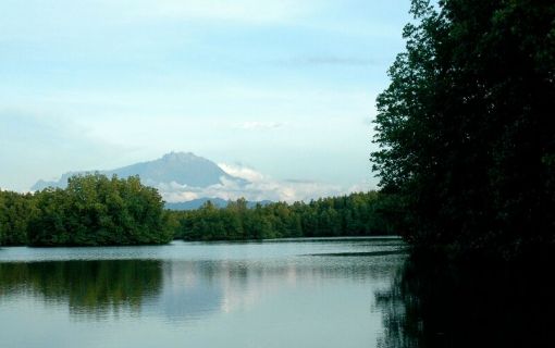 マングローブクルーズ