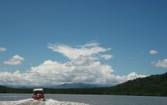 マングローブクルーズ