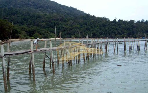 多文化ペナン島ぐるっと周遊観光・バリプラウ・世界遺産・寝釈迦仏寺院<午前発半日観光> 2