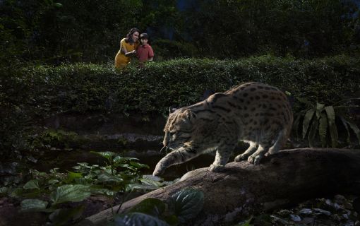 午後発！バードパラダイスとナイトサファリ！ 6