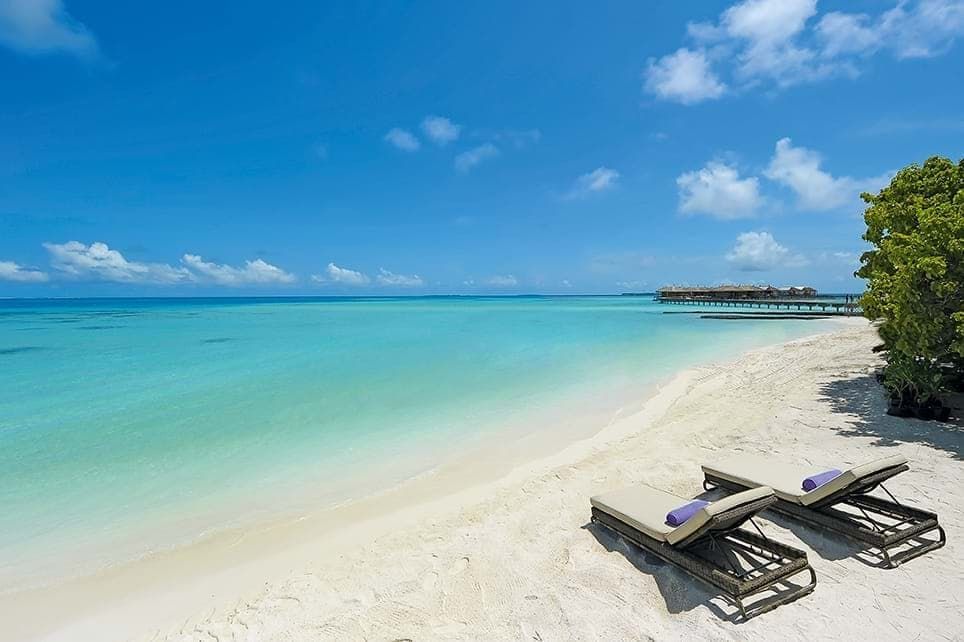 【バンコク発/モルディブ/国内線 or 水上飛行機】バンコクエアウェイズで行く コンスタンス ムーフシ ご宿泊 4