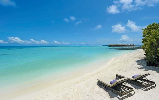 【バンコク発/モルディブ/国内線 or 水上飛行機】バンコクエアウェイズで行く コンスタンス ムーフシ ご宿泊 4