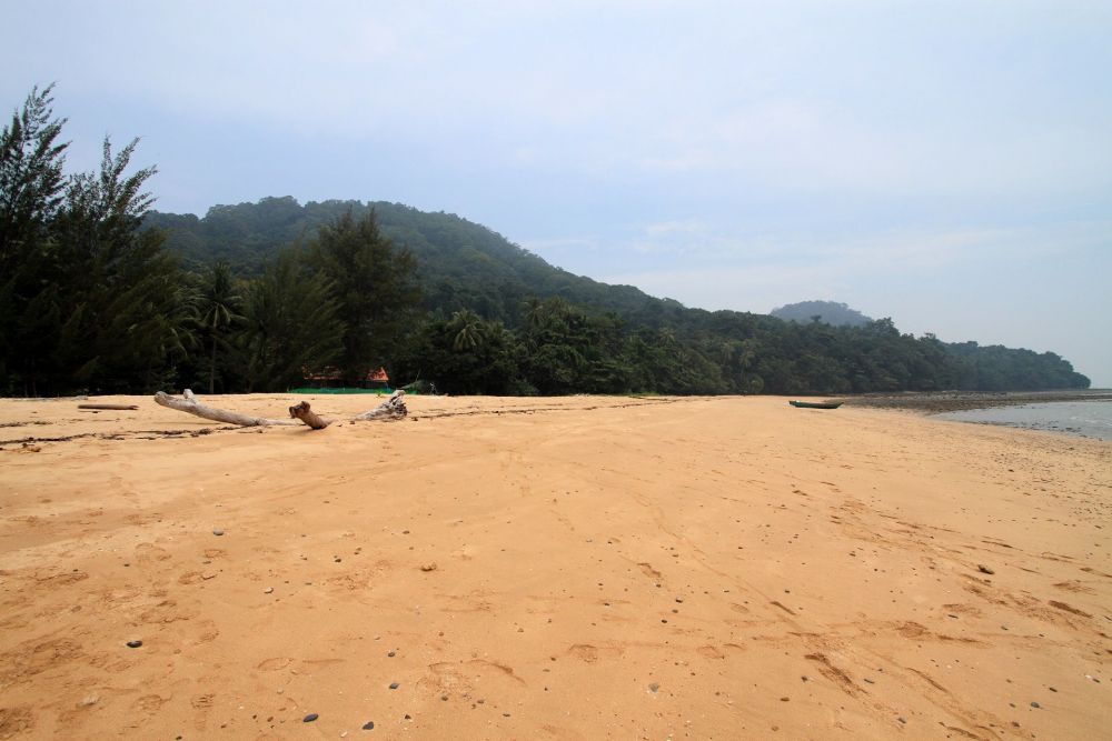 サタン島シュノーケリング・トリップ 2