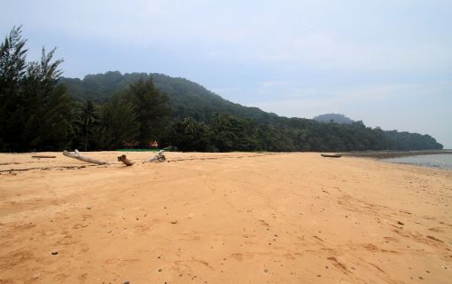 サタン島シュノーケリング・トリップ 2