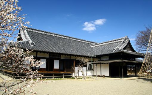 ベーシックプラン【東京発】茨城の伝統体験プラン