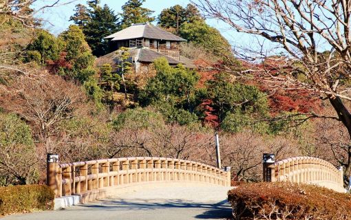 ベーシックプラン【東京発】茨城のフォトジェニック体験プラン