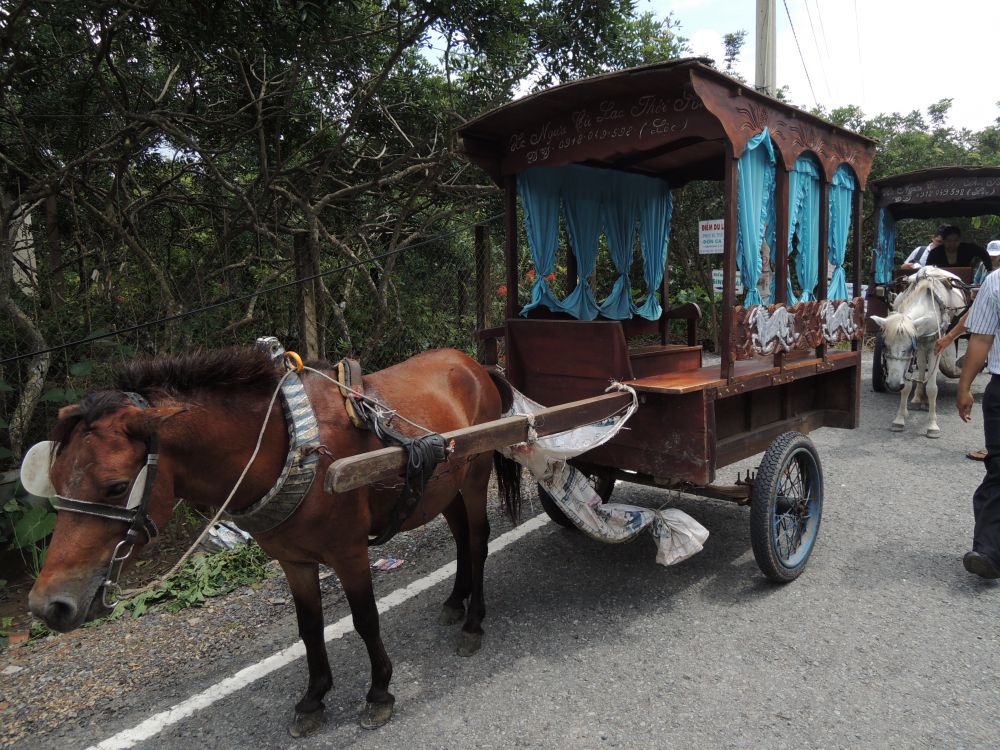 【ホーチミン発】市内観光＋メコン川クルーズツアー 12