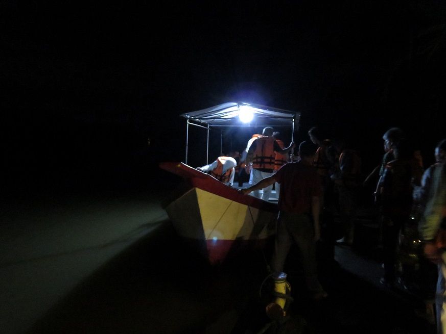 クリスマスツリーのように輝くホタルを見に行こう!ニボンテバル・ホタル観賞ツアー<夕方発観光> 3