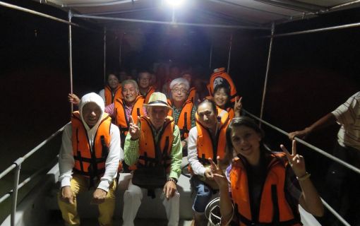 クリスマスツリーのように輝くホタルを見に行こう!ニボンテバル・ホタル観賞ツアー<夕方発観光> 4