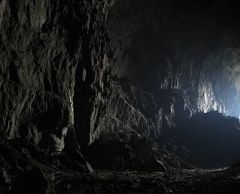 ≪英語ガイド≫世界遺産・ムル国立公園1泊2日　（コタキナバル発） 2